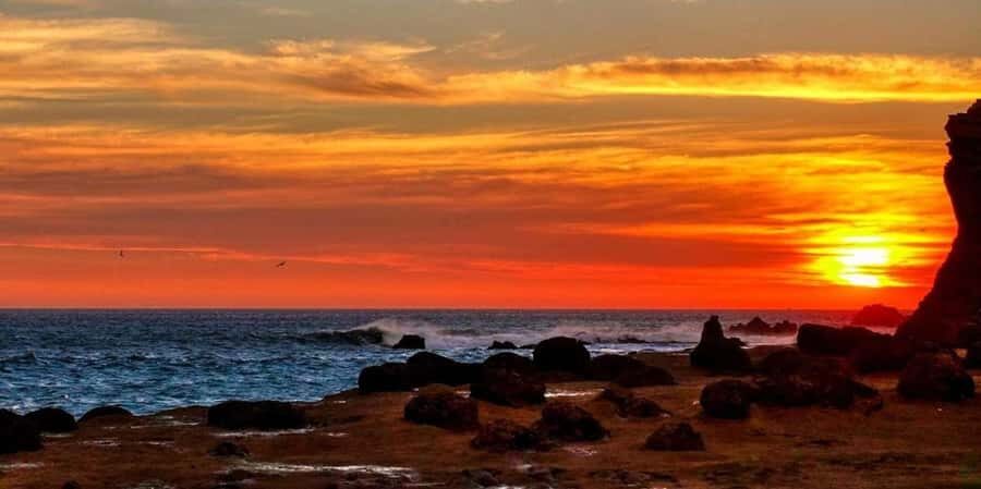 From Paracas-Sunset trekking in the Paracas National Reserve - Who Would Enjoy This Tour?