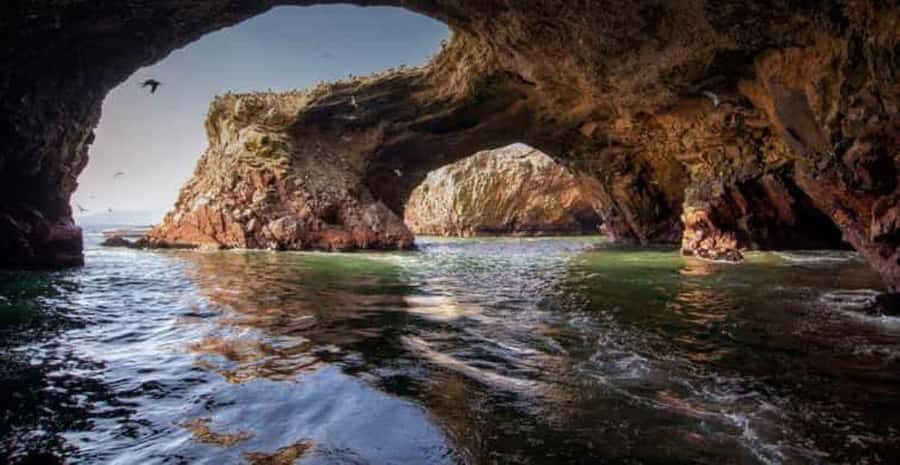 From Paracas-Sunset trekking in the Paracas National Reserve - A Deep Dive into the Experience