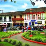 From Pereira: Salento, Cocora and Filandia Tour - Who Will Love This Tour?