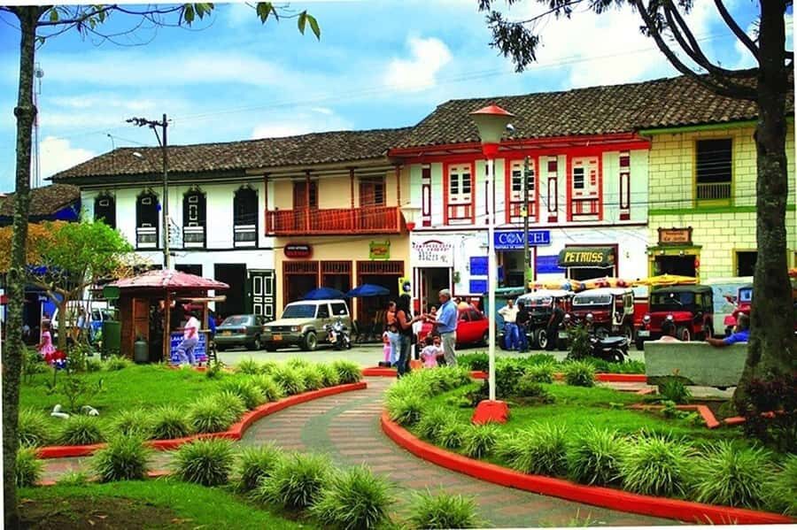 From Pereira: Salento, Cocora and Filandia Tour - Who Will Love This Tour?