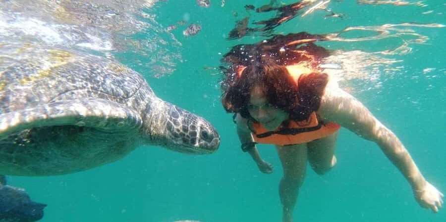 From Piura || Excursion to Mancora + Swimming with turtles - Exploring the Journey: From Piura to Mancora