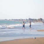 From Piura | Full-day excursion to Paita and Colán - Why This Tour Offers Great Value