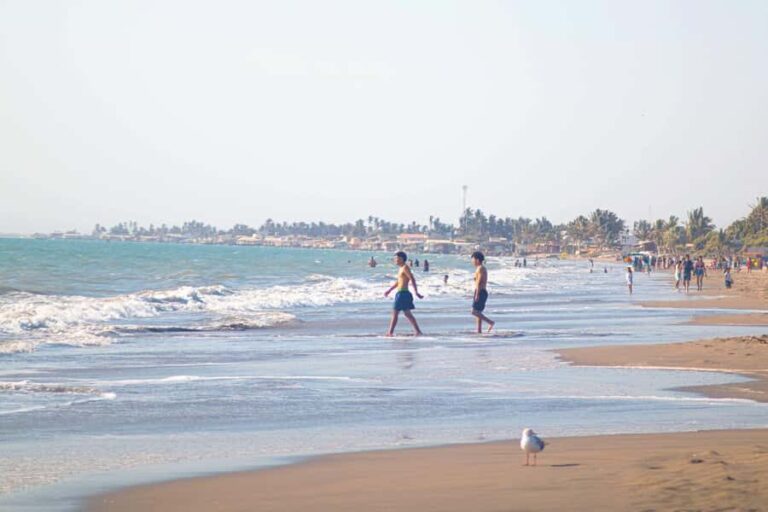 From Piura | Full-day excursion to Paita and Colán - Why This Tour Offers Great Value