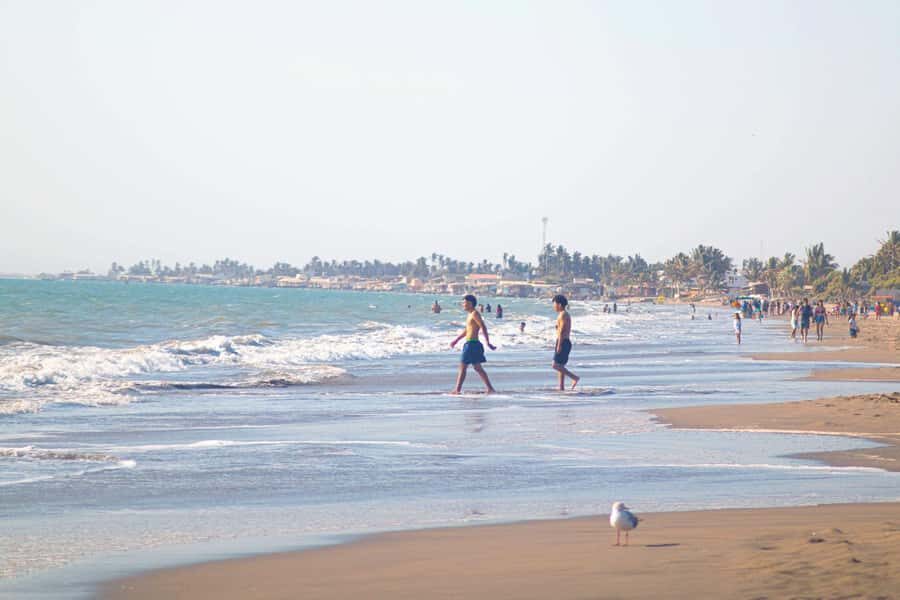 From Piura | Full-day excursion to Paita and Colán - Why This Tour Offers Great Value