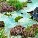 From Popayán: Day Trip to Puracé National Park - A Deep Dive into the Experience