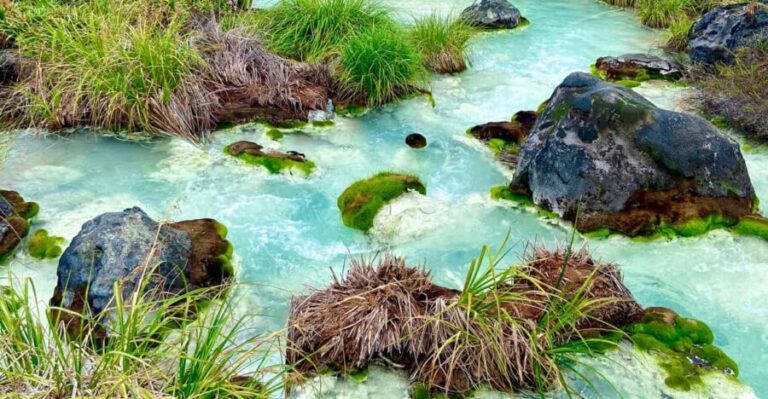 From Popayán: Day Trip to Puracé National Park - A Deep Dive into the Experience