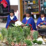 From Popayan: Indigenous Farmers Market in Silvia - Exploring the Silvia Indigenous Farmers Market: A Detailed Look