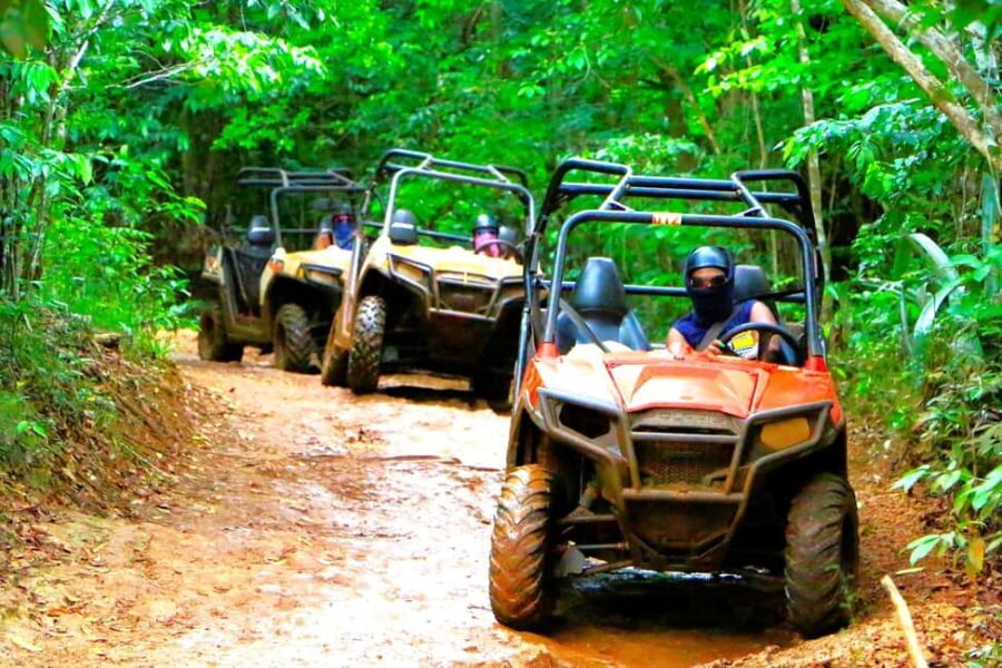 From Port Antonio: Off Road Vehicle Adventure Tour