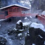 From Pucón: Geometric Hot Springs - Who Will Love This Tour?