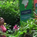 From Puerto Iguazú: Brazilian Bird Park Tour with Tickets - What Travelers Say: Honest Perspectives