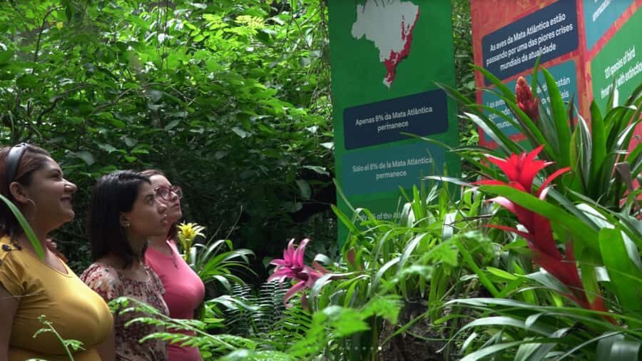 From Puerto Iguazú: Brazilian Bird Park Tour with Tickets - What Travelers Say: Honest Perspectives