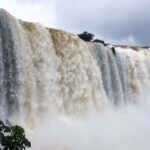 From Puerto Iguazu: Half-Day Brazilian Falls Excursion - An In-Depth Look at the Half-Day Brazilian Falls Tour