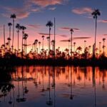 From Puerto Maldonado || 3-hour sunset boat ride || - In-Depth Review of the Sunset Boat Ride