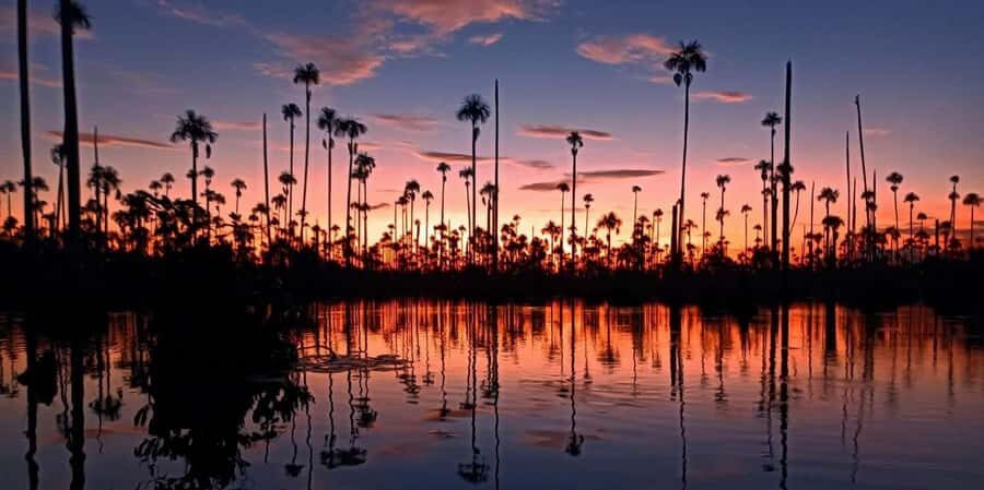 From Puerto Maldonado || 3-hour sunset boat ride || - In-Depth Review of the Sunset Boat Ride