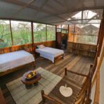 From Puerto Maldonado: 4-Day Excursion /wildlifesearch - Why This Tour Offers Good Value