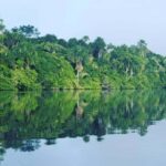 From Puerto Maldonado: 4-Day Excursion /wildlifesearch - The Value of the Experience