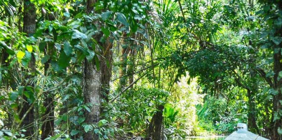 From Puerto Maldonado || Jungle trekking + Sandoval Lake || - Practical Details & Tips