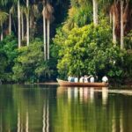 From Puerto Maldonado: Reserva Tambopata 4-Day + Zipline - What Could Be Better?