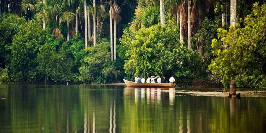 From Puerto Maldonado: Reserva Tambopata 4-Day + Zipline - What Could Be Better?