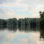 From Puerto Maldonado - Tambopata 4D/3N - A Deep Dive into the Amazon Experience