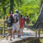 From Puerto Maldonado: Tambopata National Reserve 2-Day Tour - Who Would Love This Tour?