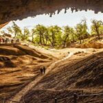 From Puerto Natales: Torres del Paine National Park Day Tour - A Deep Dive into the Torres del Paine Day Tour