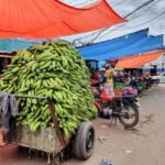 From Puerto Plata Priv: Cocoa, Coffee, Cigars & Local Market - An In-Depth Look at the Tour Experience