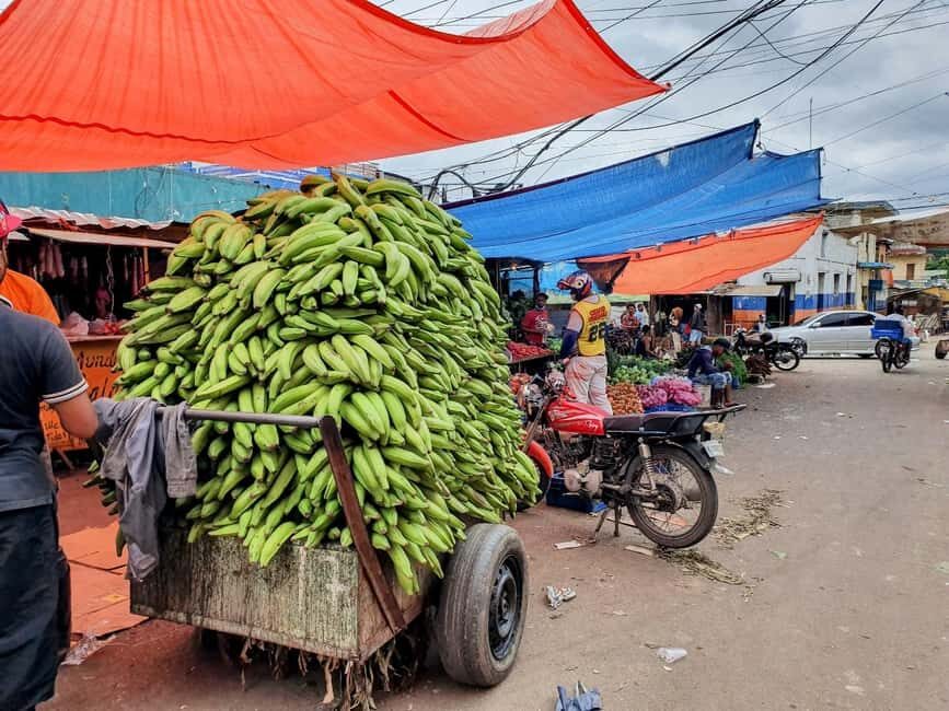 From Puerto Plata Priv: Cocoa, Coffee, Cigars & Local Market - An In-Depth Look at the Tour Experience