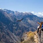 From Puno || 2-day Colca Canyon Tour ending in Arequipa || - Discovering the Beauty of the Colca Canyon: A Detailed Review