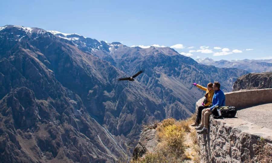 From Puno || 2-day Colca Canyon Tour ending in Arequipa || - Discovering the Beauty of the Colca Canyon: A Detailed Review