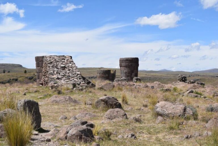 From Puno: 4h tour to Sillustani - A Detailed Look at the Tour Experience
