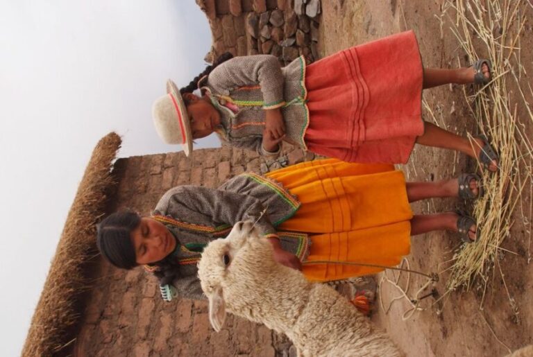 From Puno: Tour to Sillustani pre Inca Tombs - FAQ