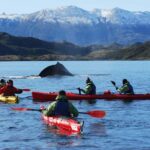 From Punta Arenas: Kayak with Whales - Value and Final Thoughts