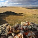 From Punta Arenas: Pali Aike National Park - Exploring the Geological Marvels of Pali Aike National Park