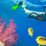 From Punta Cana: Catalina Island Swim, Sail & Snorkel - Exploring the Itinerary in Detail