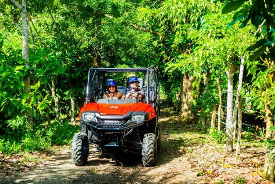 From Punta Cana: Jungle Buggy Adventure to Anamuya River - Authenticity, Fun, and Practicalities