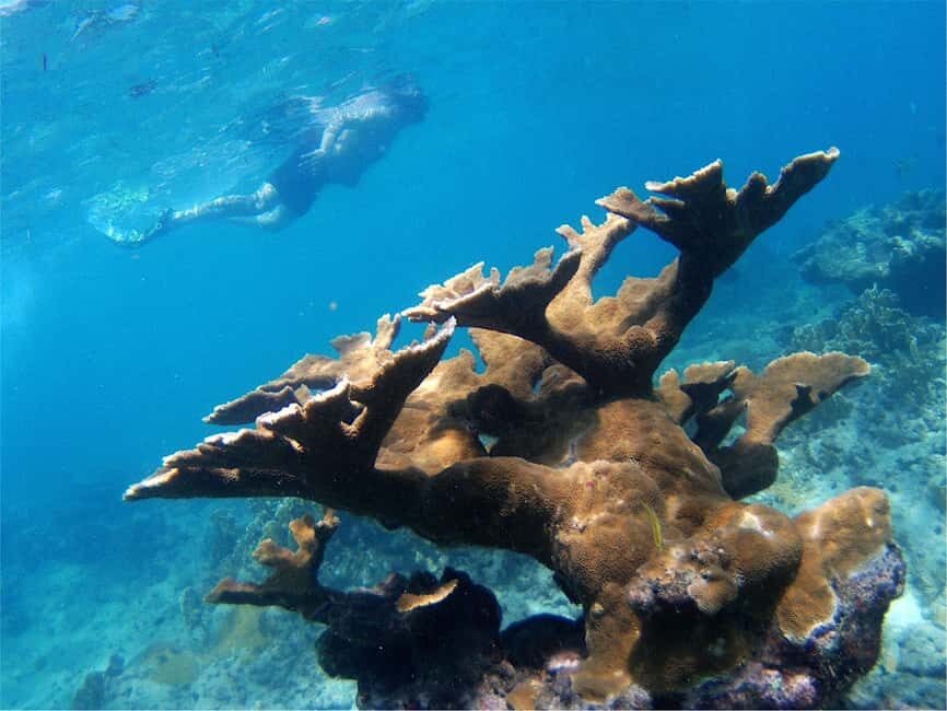 From Punta Cana: Private Catamaran Catalina Island Full-Day - Practical Tips for Your Trip