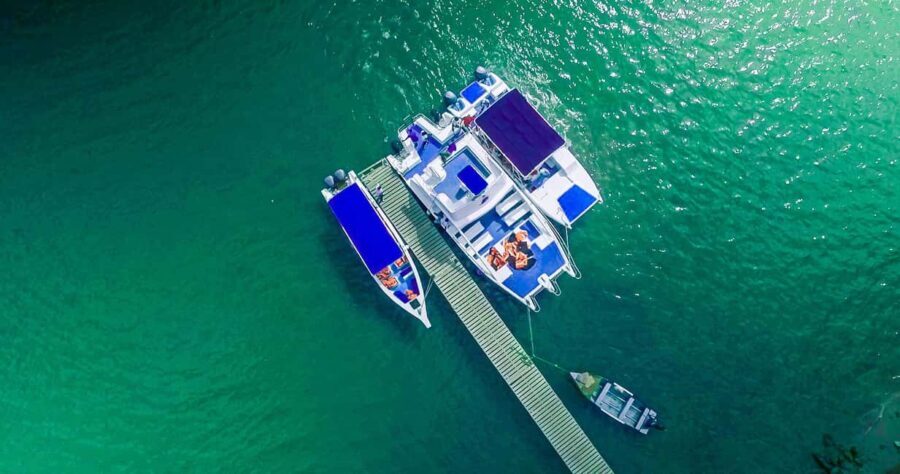 From Punta Cana: Samana Full Day Trip by Bus and Boat - A Closer Look at the Itinerary and Experience