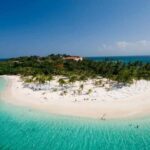 From Punta Cana: Samaná Whale Watching & Bacardi Island Tour - A Full-Day Journey Through Beauty and Culture