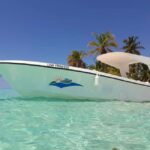 From Punta Cana: Saona and Mano Juan Day Trip by Catamaran - Practical Details: What to Keep in Mind
