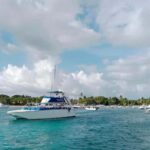 From Punta Cana: Saona Island Boat Trip with Buffet - Authentic Highlights and Practical Tips