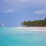 From Punta Cana: Saona Island Private Guided Catamaran Tour - An In-Depth Look at the Private Catamaran Tour to Saona Island