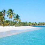From Punta Cana: Saona Island Tour with BBQ Lunch - Who Should Consider This Tour?