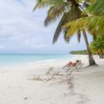 From Punta Cana: Saona Island Trip via Speedboat with Lunch - The reality behind the reviews