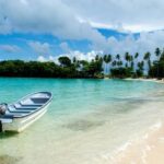 From Punta Cana: Whale Watching and Beaches Day Trip - FAQ