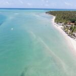 From Recife : Carneiros Beach - An In-Depth Look at the Carneiros Beach Tour