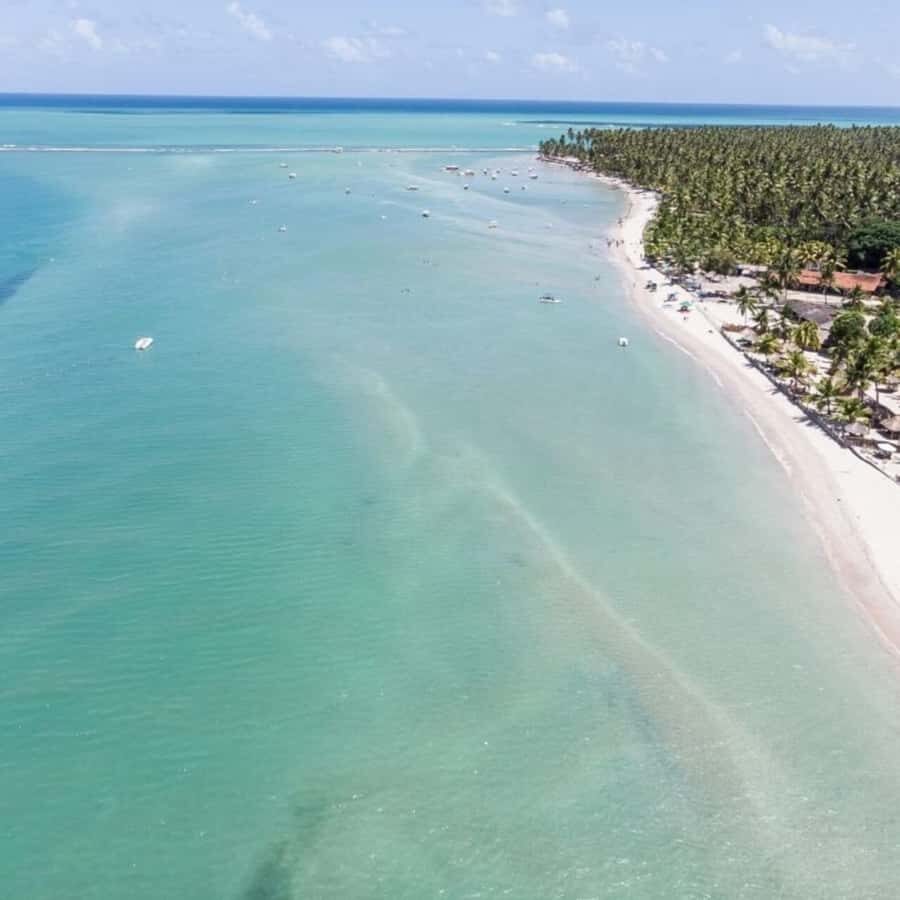 From Recife : Carneiros Beach - An In-Depth Look at the Carneiros Beach Tour