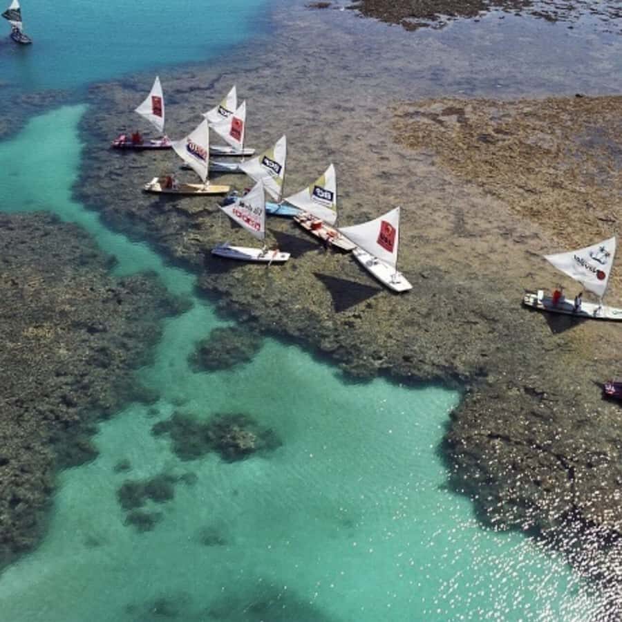 From Recife : Tour for Porto de Galinhas - A Detailed Look at the Experience