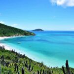 From Rio: Arraial do Cabo - The Brazilian Caribbean Daytrip - Who Should Consider This Tour?