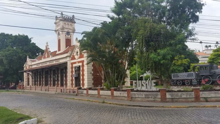 From Rio de Janeiro: 1-Day Private Tour of Coffee Valley - An In-Depth Look at the Coffee Valley Tour